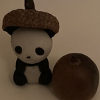 coconutcrusher42 Profile Picture