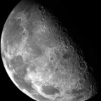 moonlightfreak Profile Picture