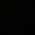 savmo Profile Picture