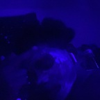 splat_klues Profile Picture
