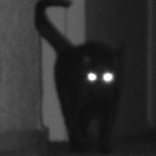 u67614868 Profile Picture
